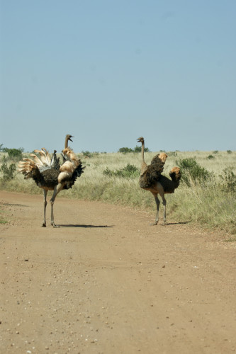 Bild W11lpJaotEq1hosxRE1lHUPc1hJriR7LLGEiaONJ