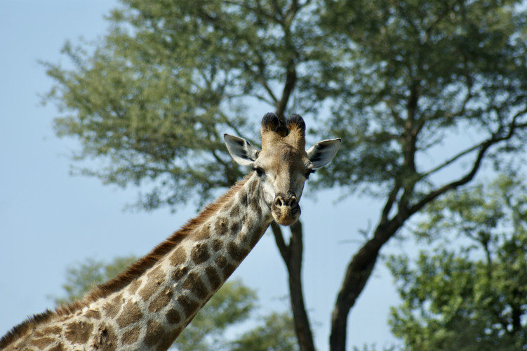 Bild dOxfQTpzilUV7IS33LqTqykTd4DtQw1DffpEE2HA