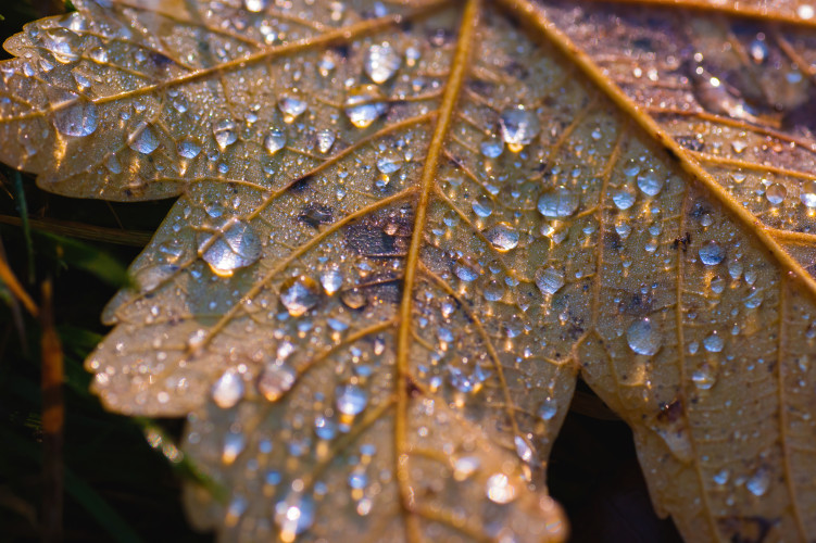 Bild jfHtucTzUlYUvZwcUNVwK2H4rVdM3fspzNqAEXBC