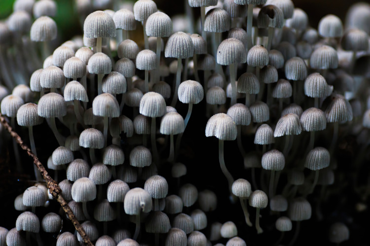 Bild nkt7lt2bSaZ5Sj3VmQUzfeq1bpsuGkLCQqHizFDg