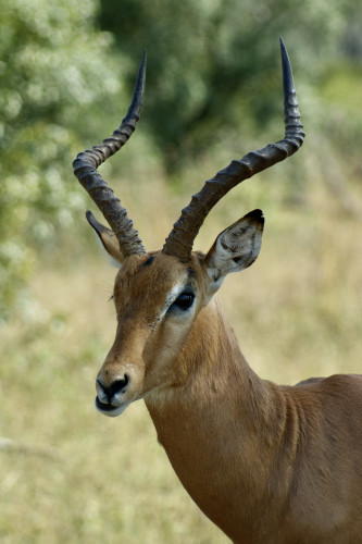 Bild piGNtqRiCYIVp8xznxfFPf1ng9RRPoUVpMwZ5PrA