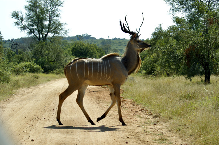 Bild qvuqQKpujoWuLt23CSEpE5OY1sA99datc532LBFb