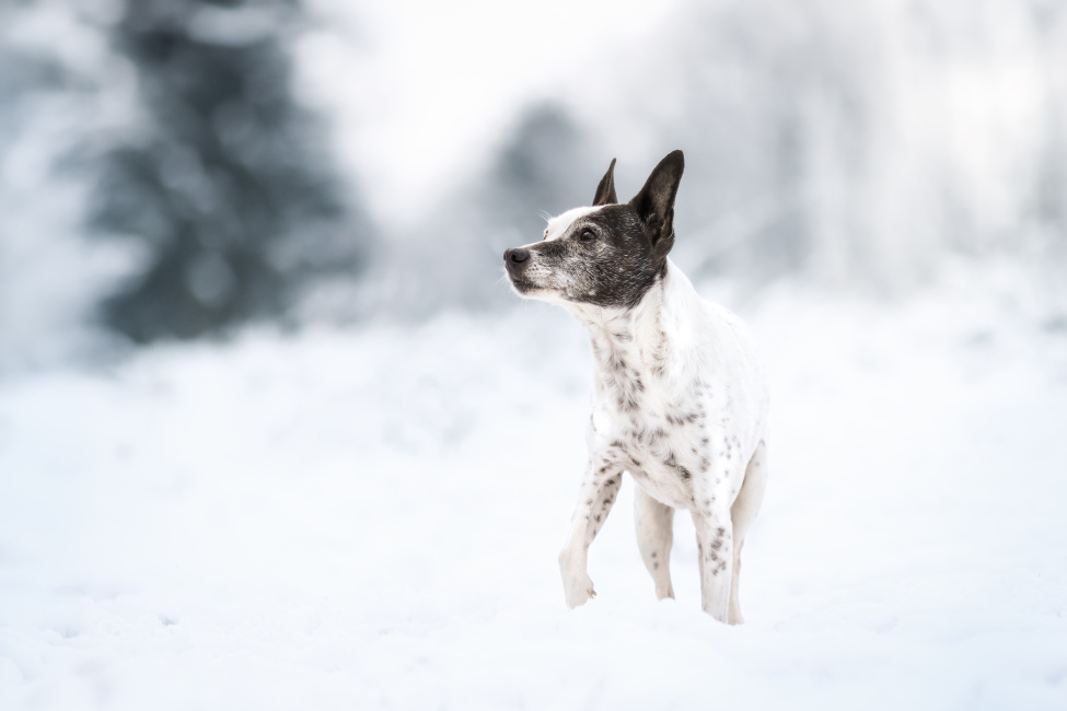 Foto 20 aus 2025 und weitere… - Professionelle Fotografie von picturesofmemories