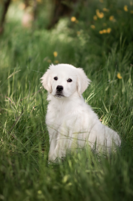 Foto 17 aus 2025 und weitere… - Professionelle Fotografie von picturesofmemories