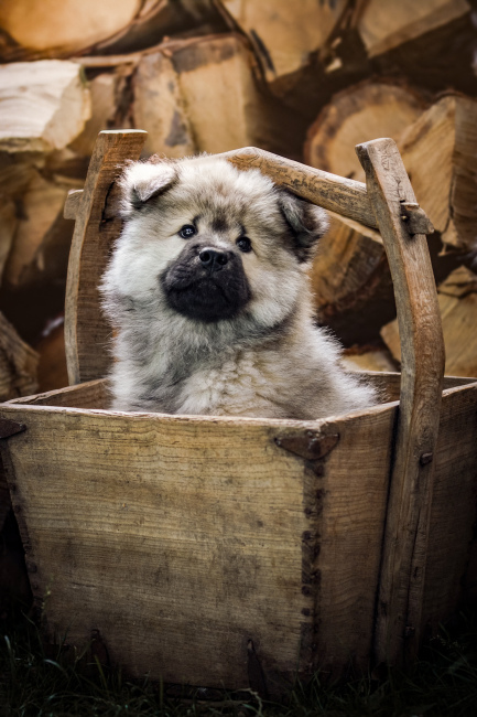 Foto 8 aus 2025 und weitere… - Professionelle Fotografie von picturesofmemories