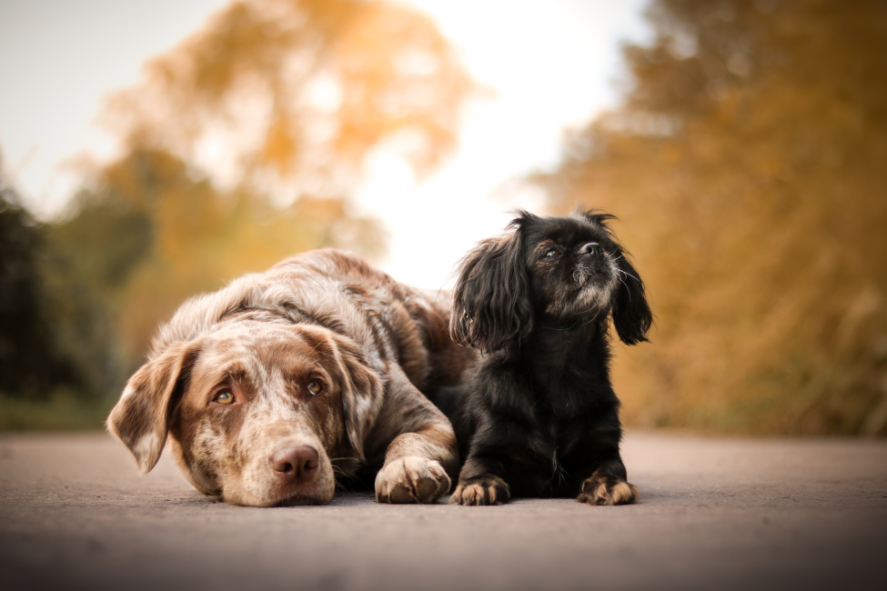 Foto 9 aus 2025 und weitere… - Professionelle Fotografie von picturesofmemories