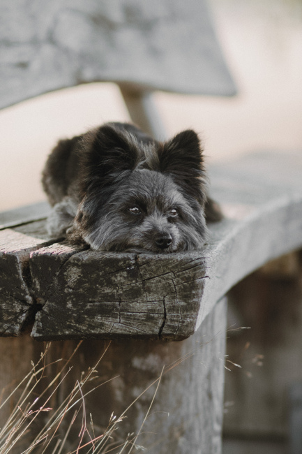 Foto 14 aus 2025 und weitere… - Professionelle Fotografie von picturesofmemories