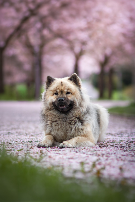 Foto 12 aus 2025 und weitere… - Professionelle Fotografie von picturesofmemories