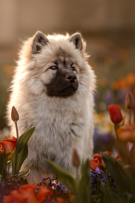 Foto 3 aus 2017-2025 - Professionelle Fotografie von picturesofmemories