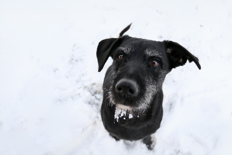 Foto 13 aus 2025 und weitere… - Professionelle Fotografie von picturesofmemories