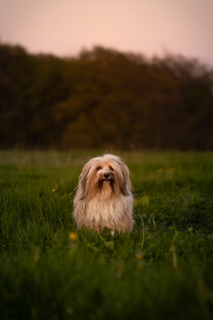 Foto 16 aus 2025 und weitere… - Professionelle Fotografie von picturesofmemories