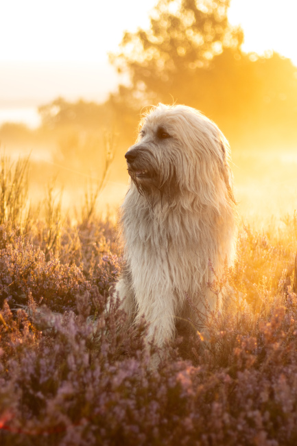 Foto 7 aus 2025 und weitere… - Professionelle Fotografie von picturesofmemories