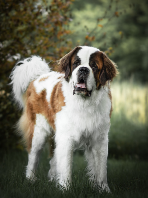 Foto 5 aus 2025 und weitere… - Professionelle Fotografie von picturesofmemories