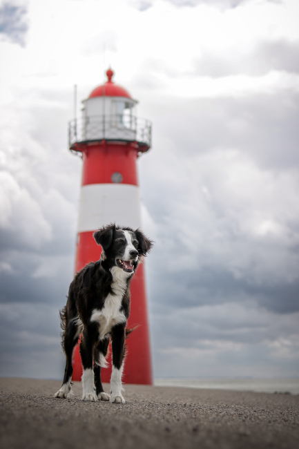 Foto 11 aus 2025 und weitere… - Professionelle Fotografie von picturesofmemories