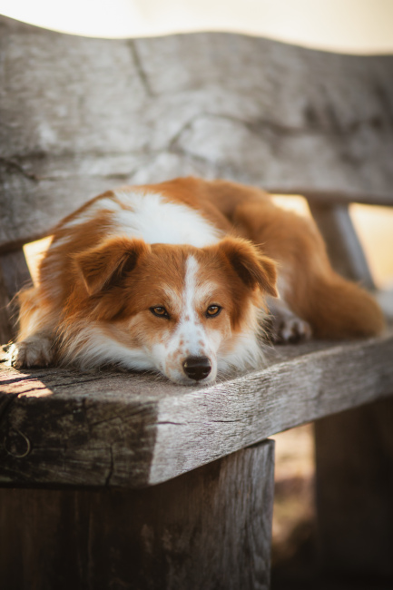 Foto 18 aus 2025 und weitere… - Professionelle Fotografie von picturesofmemories