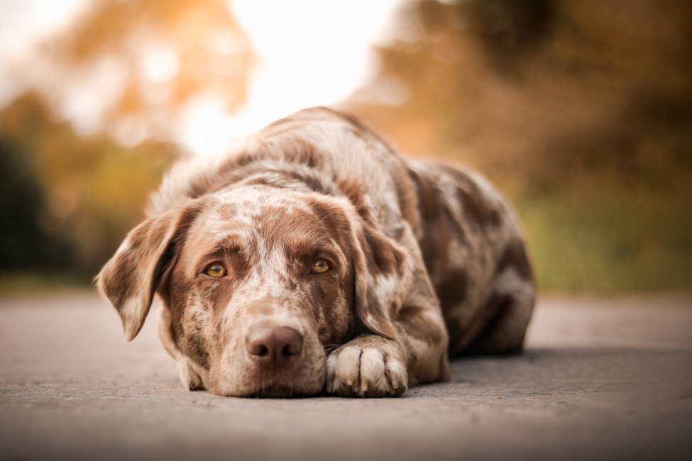 Foto 6 aus 2025 und weitere… - Professionelle Fotografie von picturesofmemories