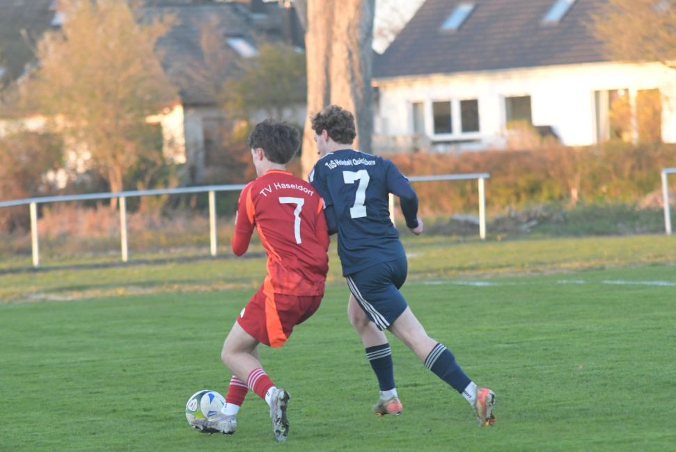 Foto 16 aus Meisterschaftsspiel am Freitagabend, d. 10.04.2026 beim TV Haseldorf - Professionelle Fotografie von UweLangeloh