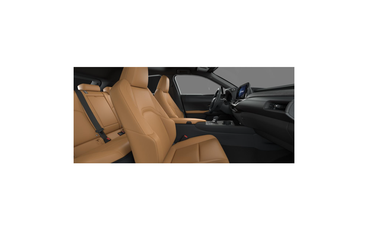 LEXUS UX F Sport Design