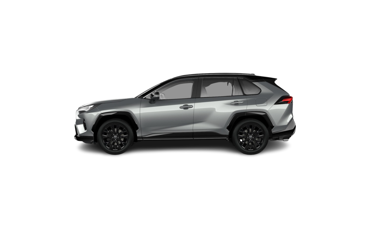 TOYOTA RAV4 Selection HEV
