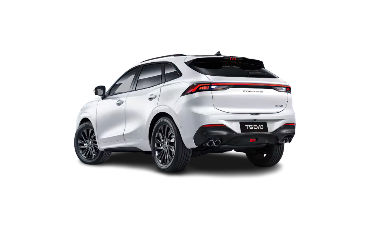 FORTHING T-Five Standard