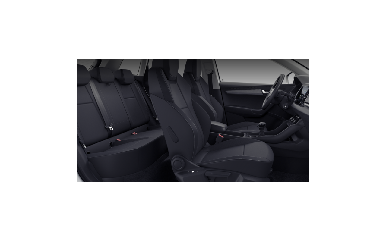 SKODA Karoq Selection TSI