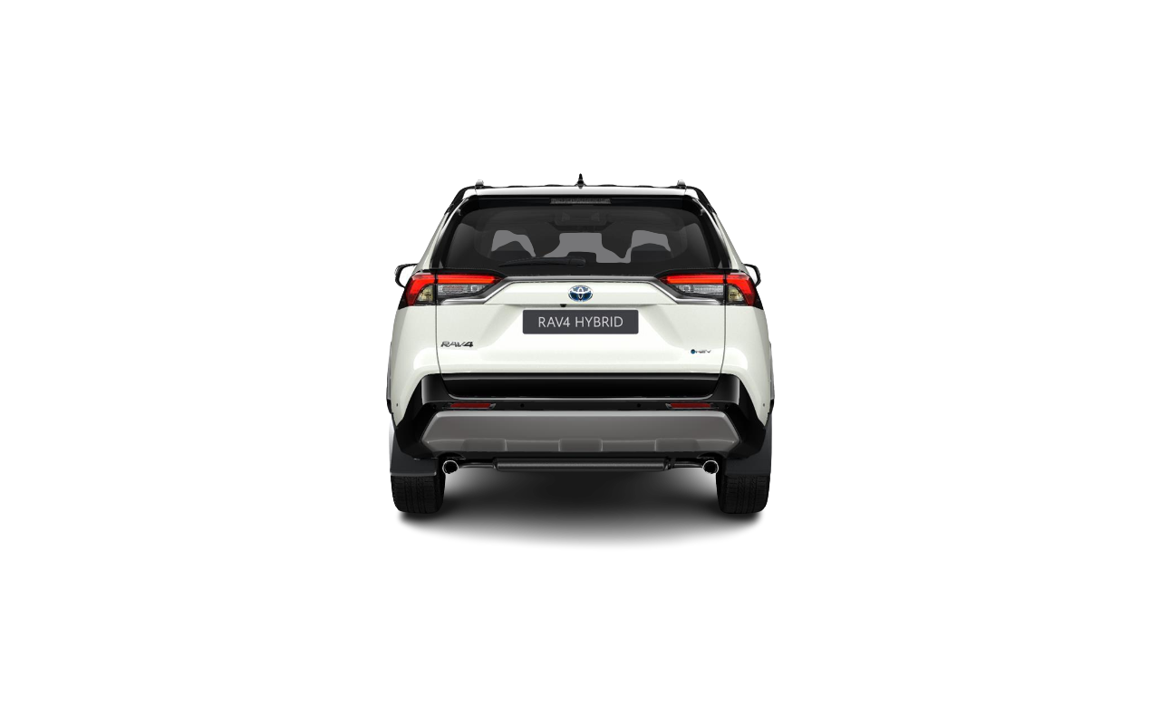 TOYOTA RAV4 Selection HEV