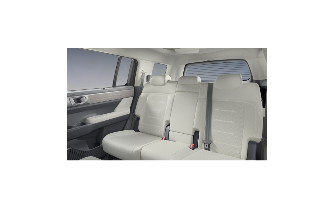 HYUNDAI Santa Fe Platinum HEV