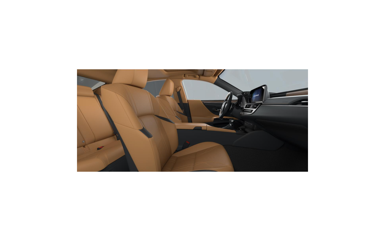 LEXUS ES Prestige 300h
