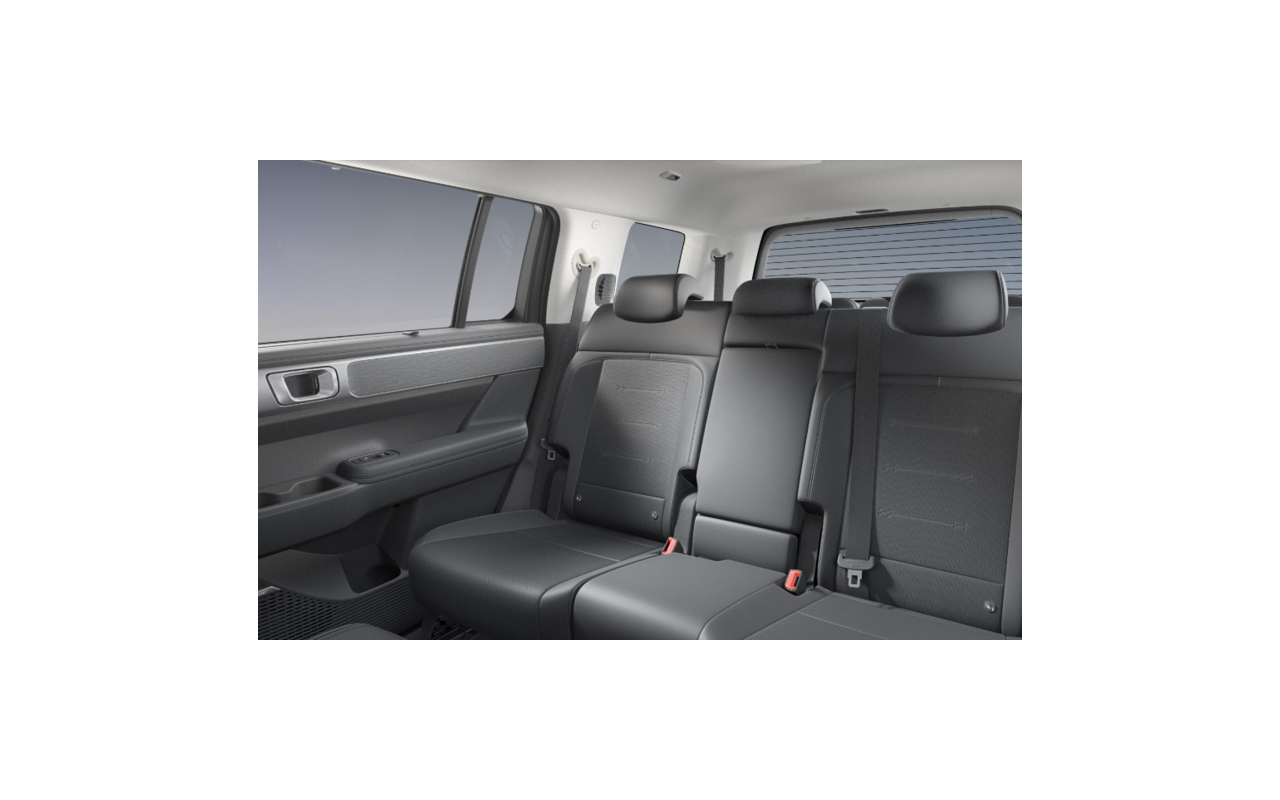 HYUNDAI Santa Fe Platinum PHEV