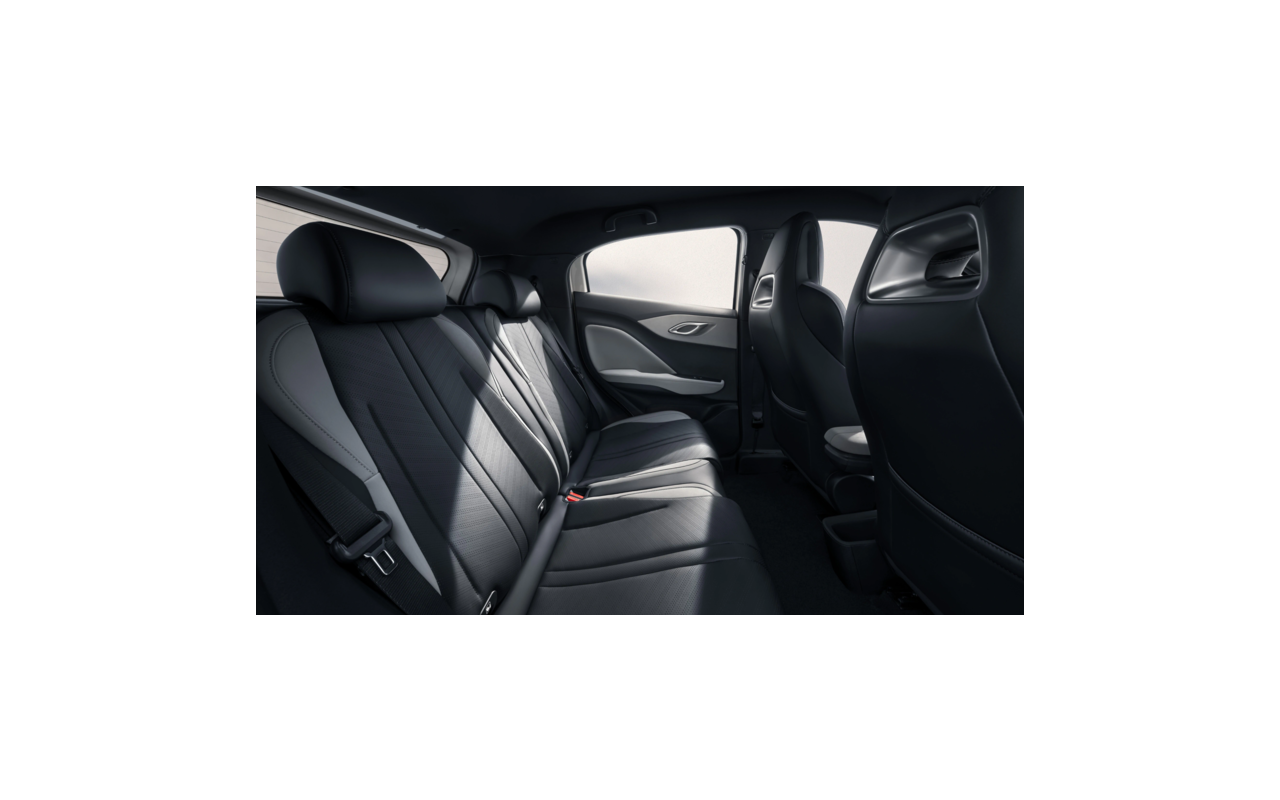 BYD Dolphin Surf Comfort