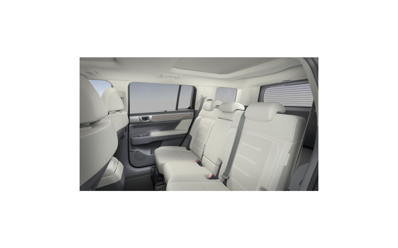 HYUNDAI Santa Fe Platinum HEV