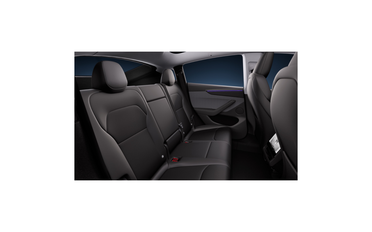 TESLA Model Y RWD