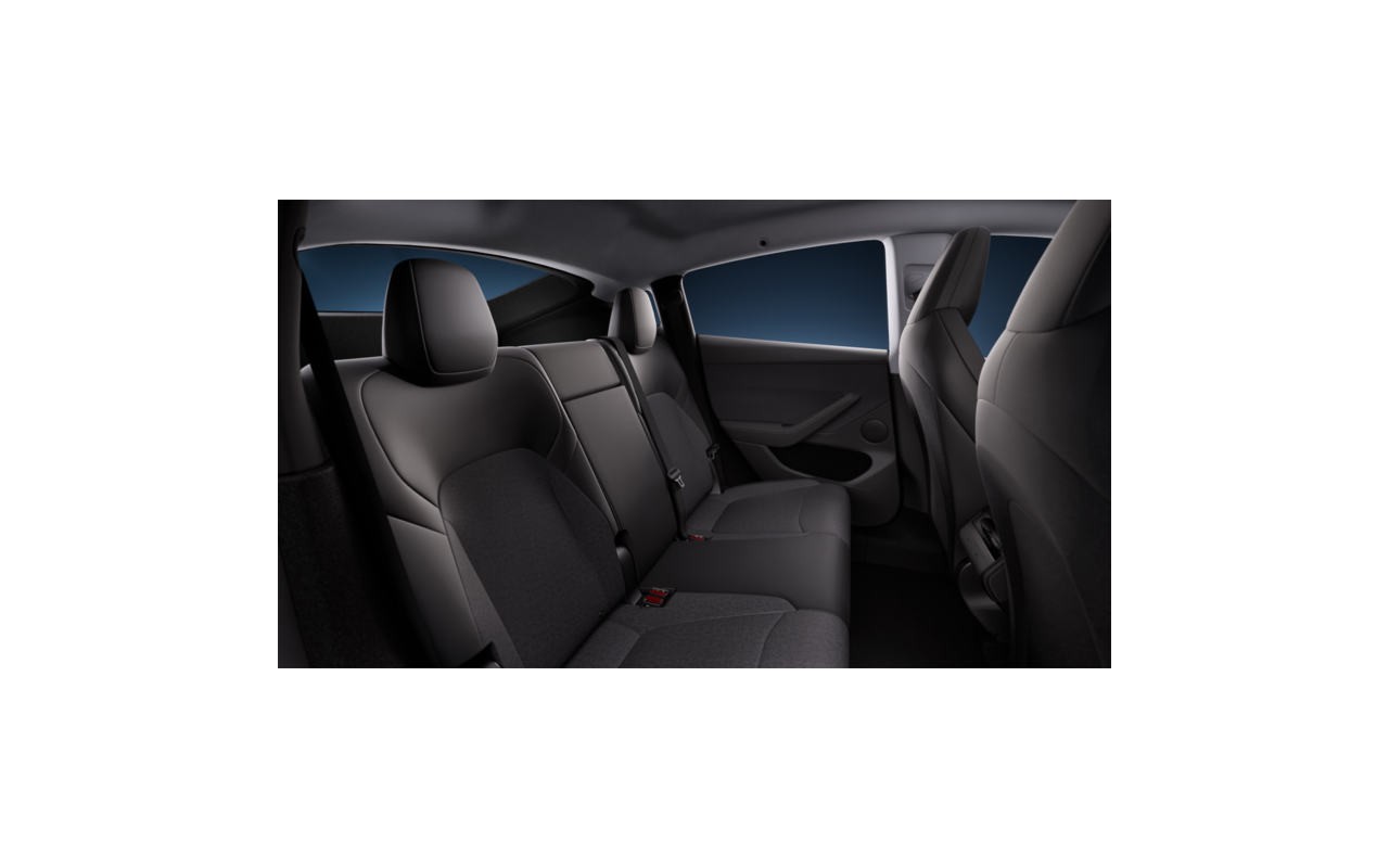 TESLA Model Y Standard RWD