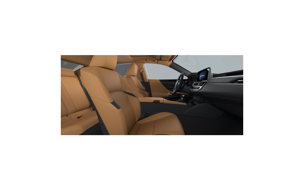 LEXUS ES Business Edition 300h