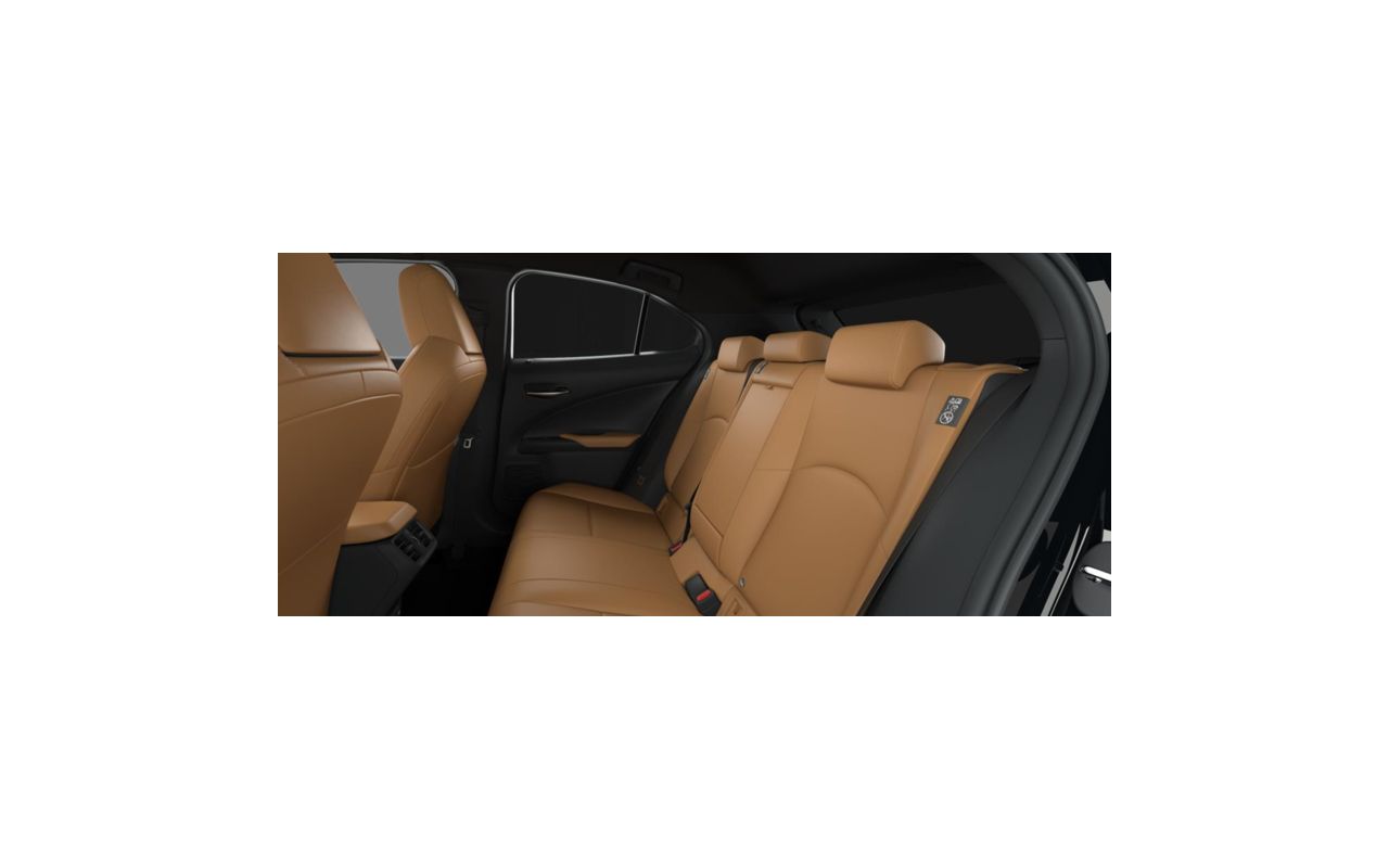 LEXUS UX F Sport Design