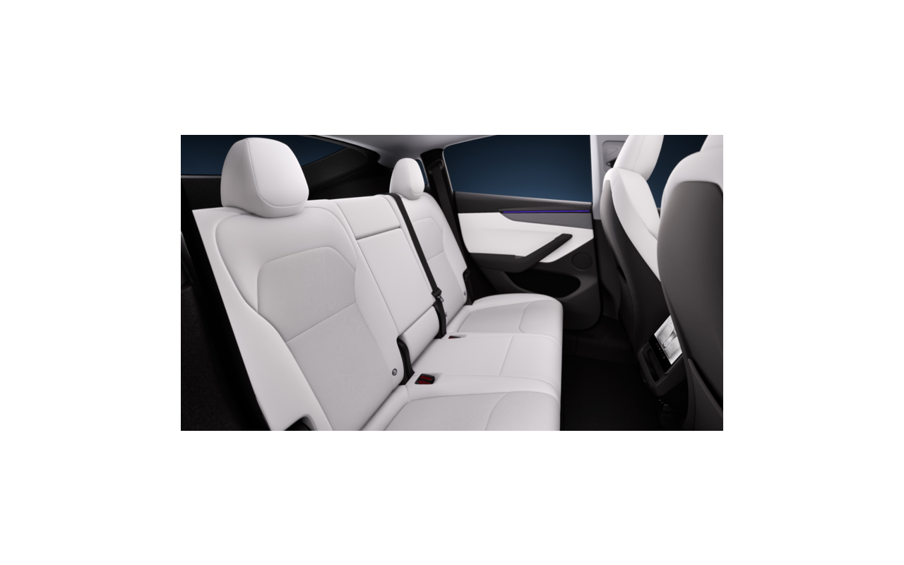 TESLA Model Y Long Range RWD