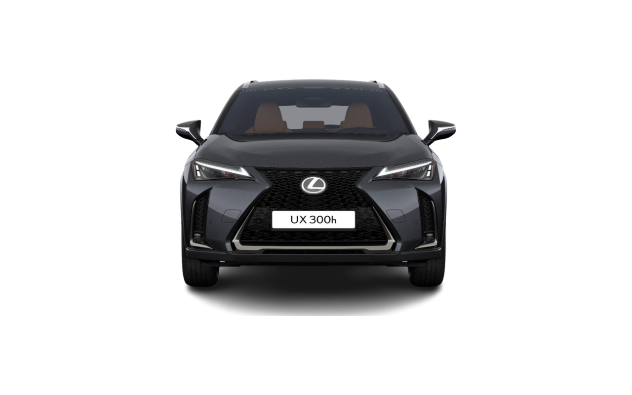 LEXUS UX F Sport Design