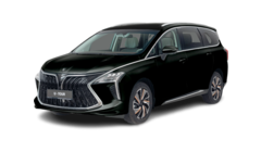 FORTHING U - TOUR Standard