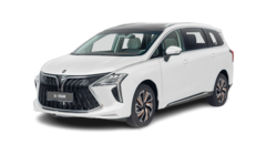 FORTHING U - TOUR Standard