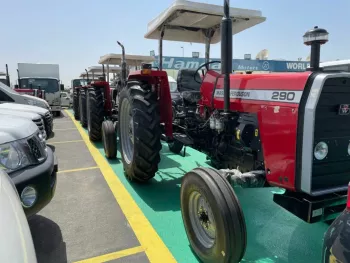 New 2022 Massey Ferguson MF290
