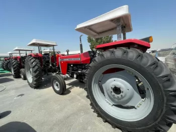 New 2022 Massey Ferguson MF290