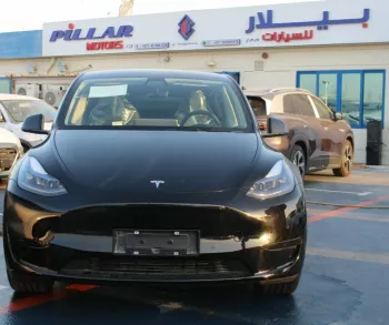 Tesla Y Series Standard Option 2022