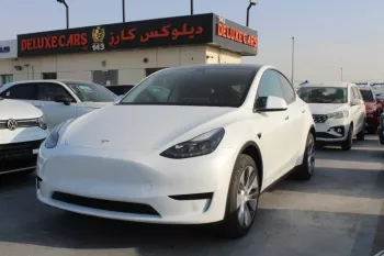 2022 TESLA Model Y White Color
