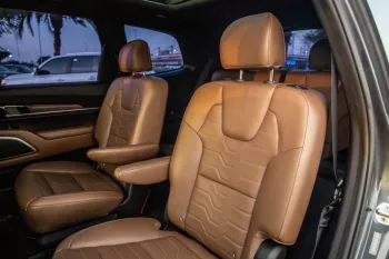 KIA Telluride 2020 Model Year Automatic transmission Black Color