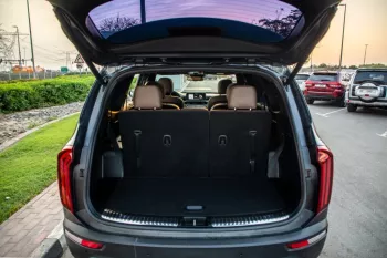 KIA Telluride 2020 Model Year Automatic transmission Black Color