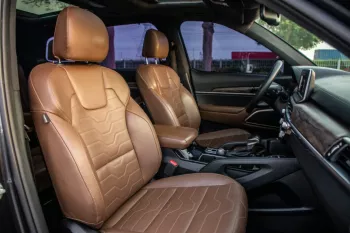 KIA Telluride 2020 Model Year Automatic transmission Black Color