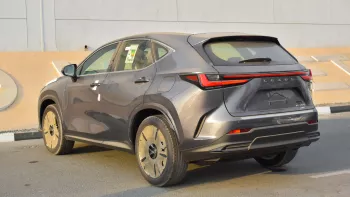 Lexus NX350 AWD 2023 Nardo Gray