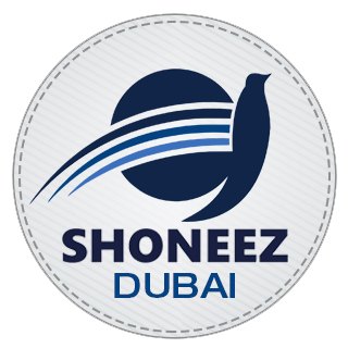 Shoneez Cars Trading