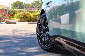 AVATAR 11 FULL ELECTRIC 2023 MODEL YEAR (600 KM), 317 HP