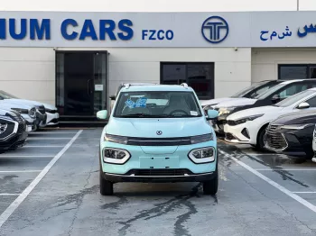 DONGFENG NANOBOX ELECTRIC CAR 2024 MODEL YEAR MINT GREEN COLOR